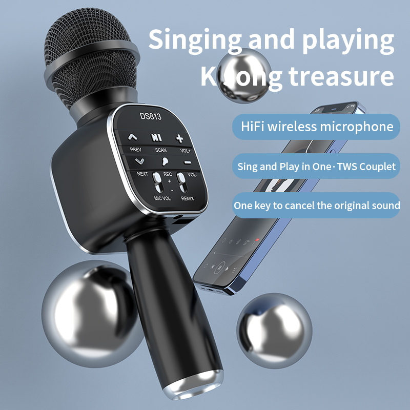 DS813 Drahtlose Bluetooth Kara – Kids Microphone Karaoke Bewertung und Preis