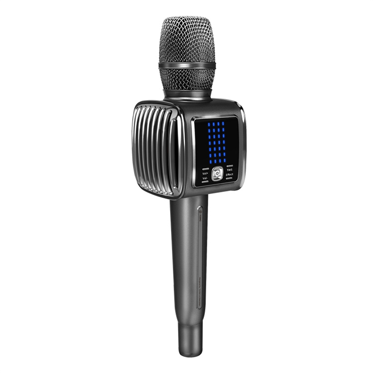 Tosing G6 PRO Sing Karaoke, ka – Kids Microphone Karaoke Bewertung und Preis
